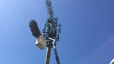 Một số vị trí trạm được thiết kế nhằm đạt tính thẩm mỹ cho khu vực tổ chức