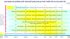 Dinh dưỡng vàng cho phát triến tối ưu não bộ của trẻ