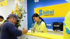 Bitel là công ty đem lại lợi nhuận từ nước ngoài lớn nhất (chiếm tới 40%) của Tập đoàn Viettel.