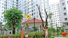 Nhà vừa túi tiền tại Ecohome (Cổ Nhuế, Hà Nội) ra hàng đến đâu hết đến đó.