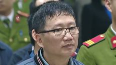 Ông Trịnh Xuân Thanh: Không ai lại cất tiền trong tủ giầy