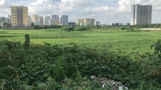 Khu đất dự án BV Đa khoa Quang Trung “ôm” đất vàng chậm triển khai gần 8 năm bị kiến nghị thu hồi.