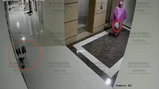 Thời điểm rạng sáng 6/4, Công (mặc áo mưa, thủ bọc chất bẩn ở tay) chuẩn bị ném vào cửa phòng chung cư (khoảnh đỏ). Ảnh: Cắt tử video an ninh.