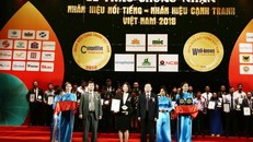 Bà Lê Thị Tuyến – Phó TGĐ Tập đoàn TMS nhận giải thưởng Nhãn hiệu nổi tiếng Việt Nam 2018
