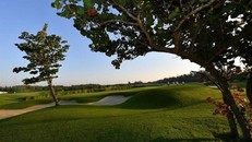 Nicklaus Design nhận định FLC Sam Son Golf Links là một sân golf đẹp và đầy thách thức