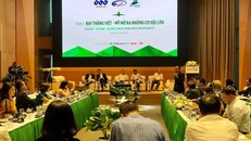 Bay thẳng tới Mỹ: Hãng hàng không nào sẽ tiên phong?