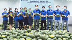 Toàn bộ dưa hấu thu mua được tặng lại cho gần 3.300 nhân viên của Ngân hàng Shinhan tại tất cả các chi nhánh và phòng giao dịch trên cả nước.