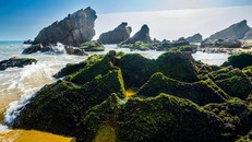 Vẻ đẹp hoang sở của bãi Đá Nhảy