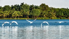 Cảnh quan đắt giá tại dự án Ecopark Grand – The Island, một trong các dự án đáng sống được bình chọn năm 2022.