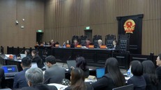 Luật sư kháng cáo thay cho cựu chủ tịch AIC Nguyễn Thị Thanh Nhàn