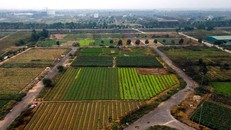 Những dự án thu hồi đất trên giấy còn thực tế bỏ hoang là bài toán Mê Linh cần giải để tăng quỹ đất cho các đại đô thị trong tương lai.