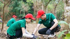Nestlé Việt Nam cùng người tiêu dùng trải nghiệm hoạt động trồng rừng tại Vườn Quốc Gia Cúc Phương.