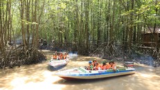 Đoàn trải nghiệm du lịch xuyên rừng tại VQG Mũi Cà Mau.