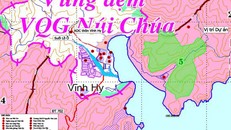 Dự án “Khu nghỉ dưỡng cao cấp Vĩnh Hy” có khu vực giữ nguyên trạng, không tác động môi trường rừng là 51,75ha. Khu vực quy hoạch khu nghỉ dưỡng, thuê môi trường rừng là 12,9 ha.