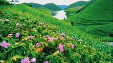 Hạ cánh…Pù Bin