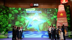 Phát động chương trình trồng 1 triệu cây xanh cho Trường Sa