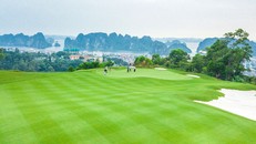 Với nhiều sân golf đẳng cấp quốc tế, Việt Nam là điểm đến yêu thích của du khách Hàn Quốc, ảnh sân golf FLC Hạ Long.