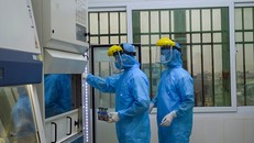 Hệ thống xét nghiệm Cobas 4800 tại CDC Thái Bình. Ảnh: Báo Nhân Dân