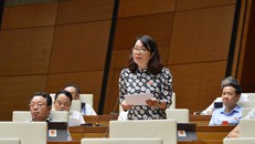 Đại biểu Quốc hội khóa XIV Phạm Thị Minh Hiền