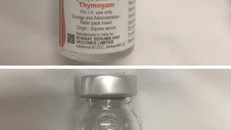 2 lọ thuốc quá hạn sử dụng 5 tháng mà bệnh viện truyền cho bệnh nhi