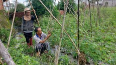 Đồng Nai: Người dân than khóc vì tình trạng ngang nhiên xây cản dòng chảy gây ngập úng