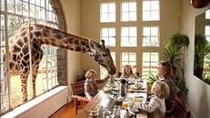 Những khách sạn có '1-0-2' trên thế giới