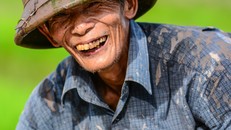 Những câu chuyện đời thường được mọi người đem ra đồng để cùng nhau chia sẻ, một không khí nhộn nhịp mặc cho mặt trời đã lên cao, nắng đã gắt. Không phải tự nhiên mà người ta gọi Thái Bình là “quê lúa”, không chỉ bởi vì sản lượng lúa gạo lớn mà còn bởi t