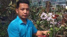 Cất bằng đại học, về quê làm giàu