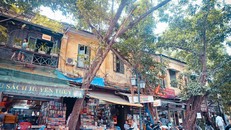 Cốt cách Tràng An tìm đường lan tỏa