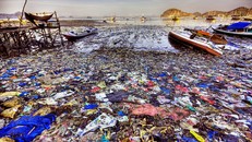 Thảm họa môi trường mang tên nilon
