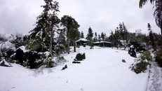 Tuyết rơi ở Sa pa ​