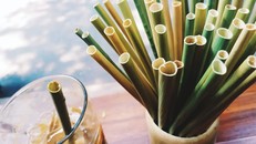 Điều kì diệu từ ống hút bằng cỏ