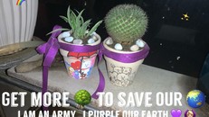 Thêm nhiều cây xanh để cứu lấy trái đất của chúng ta (ảnh Karyln)