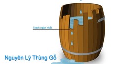 Dấn thân hay An phận?