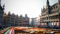 Quảng trường Lớn Brussels