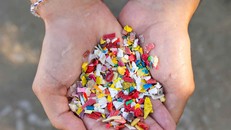 Hạt nhựa tí hon - sát thủ 'vô hình'