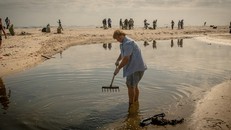 Sử dụng công cụ AI để phát hiện và thu gom rác trên toàn thế giới