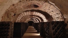 Sườn đồi, Nhà và Hầm rượu Champagne