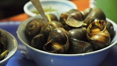 Chợt thèm ốc mút 5 xu