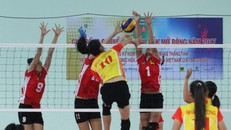 Chuyện 'khủng long' bóng chuyền cao 1,88 m, bật đà 3,13 m