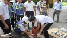 UNESCO có nhiều hoạt động hỗ trợ bảo vệ di sản.