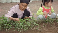 Việt Nam sẽ có dân số “siêu già” vào năm 2050 (ảnh H.D)