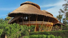 Trường học xanh phù hợp với thiên nhiên.