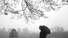 Thư gửi người ngoài 30