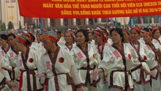 Thái cực Trường sinh đạo, từ môn võ lạ lùng đến bài tập 'quốc dân'