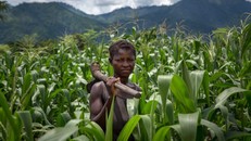 Cứ hai người sinh sống tại vùng nông thôn miền núi ở các nước đang phát triển, thì có một người không có đủ lương thực để sống khỏe mạnh.