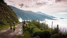 Con đường từ thị trấn Bắc Yên lên Tà Xùa dài 13 km. Trên đường, bạn có thể ngắm được toàn cảnh thị trấn Bắc Yên ẩn hiện trong những đám mây lơ lửng vắt qua núi. Ảnh: Hai Yen Chu