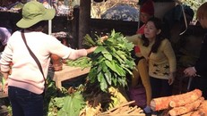 Lộc rừng được bày bán ở các đền, phủ