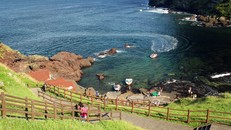 Đảo Jeju Hàn Quốc