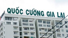 Quốc Cường Gia Lai phải trả nợ gần 1.700 tỷ trong hơn một tháng 